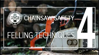 Chainsaw Safety | Felling Techniques