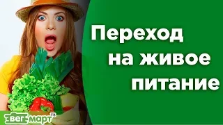 Решение проблем при переходе на живое питание. Опыт перехода