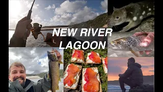 Trout of the South | Mission to New River - Tasmania (Sea Trout Gravlax Catch & Cook)