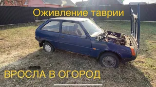 Оживление. Таврия после длительного простоя.