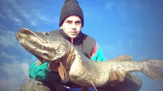 თევზაობა სპინინგით სეზონის დასასრული/ Pike Fishing Finishing