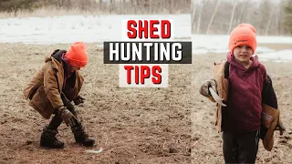 Shed Hunting Tips - Find More Antlers