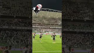 TORCIDA DO GALO MANDA RECALADO PARA O VOLANTE ALLAN