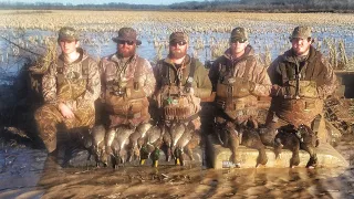 INSANE Flooded RICE Field Duck Hunting