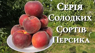 Персик Екстрім Світ