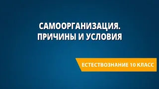 Самоорганизация. Причины и условия