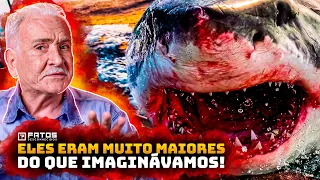 URGENTE: Cientistas revelam novas descobertas do Megalodonte!