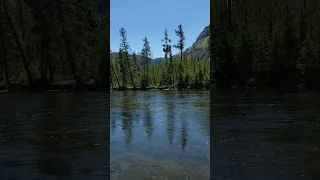 Natural beauty! Yellowstone National Park ❤