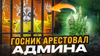 ГОСНИК АРЕСТОВАЛ АДМИНИСТРАТОРА СЕРВЕРА И БЫЛ НАКАЗАН В ГТА 5 РП