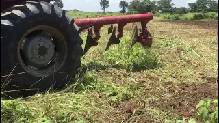 Part 2 Maize field preparation | Ploughing & Discing - Irrigation system