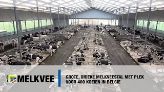 Grote unieke melkveestal met plek voor 400 koeien in Belgie