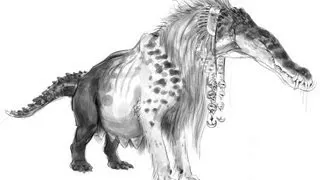 Who Was Ammit?
