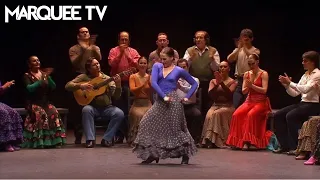 Carmen - Flamenco | Marquee TV