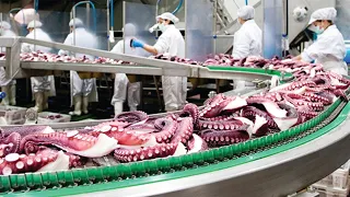 Fishing Of Giant Squid And Octopus At Sea - The Process Of Processing Frozen Squid And Octopus