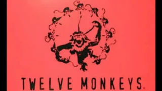 12 Monkeys - soundtrack