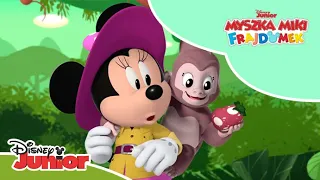 🌴 Powrót do Zaczarowanego Lasu! | Myszka Miki: Frajdomek | Disney Junior Polska