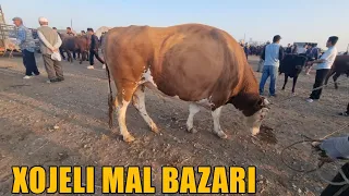 21-МАЙ 2023/ХОЖЕЛИ МАЛ БАЗАРЫ/СКОТНЫЙ РЫНОК/BUQALAR/BIG BULLS IN THE WORLD/BIG COW/РЕКОРД БЫК