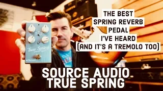 THE BEST SPRING VERB IN A PEDAL I'VE HEARD - SOURCE AUDIO TRUE SPRING