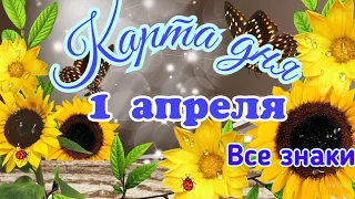 Карта дня🌼1 апреля 2024 год. Тайм-код в описании.