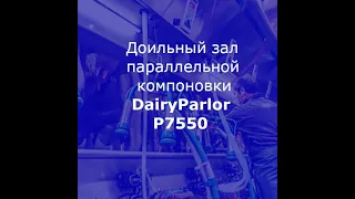 Доильный зал параллель DairyParlor P7550