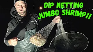 How To Dip Net  JUMBO SHRIMP At Night - FULL PULL 5 Gallon Limit