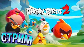 16 ★ СТРИМ ★  Angry Birds 2 ★ Злые птички Энгри Бердс