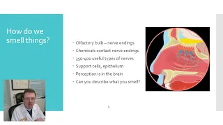 Parosmia, why it happens, and what you can do about it?  Long Covid.  Dr. Robert Groysman, MD