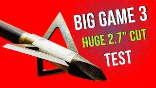 GIANT BROADHEAD--BIG GAME 3 Broadhead Test--One of the Best in 2022