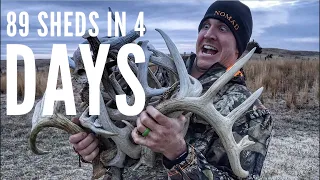 EPIC SHED HUNTING! 89 Sheds in 4 days! | Bowmar Bowhunting |