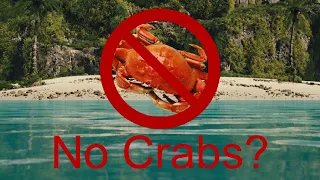 Crab rave but theres NO CRABS?