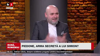 BUNĂ, ROMÂNIA! TOVĂRĂȘIE MARE ÎNTRE AUR ȘI PIEDONE? / ȘOȘOACĂ FACE APEL LA ARMATĂ  P2/2