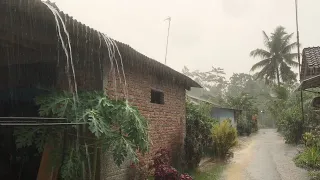 Heavy Rain Accompanied by Strong Wind and Lightning | Walks Through Thunderstorm in Rural Indonesia