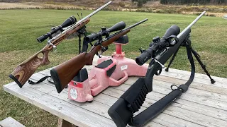 .204 Ruger Battle Savage vs Tikka vs CZ