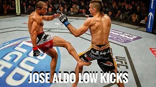 Jose Aldo's low kicks vs Ricardo Lamas