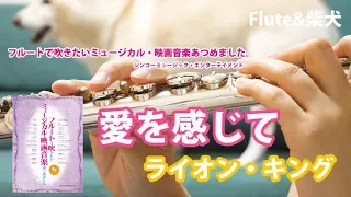 【フルート】愛を感じて/ライオン・キング【演奏してみた】FLUTE