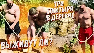 ТРИ БОГАТЫРЯ В ДЕРЕВНЕ / ВЫЖИВУТ ЛИ?