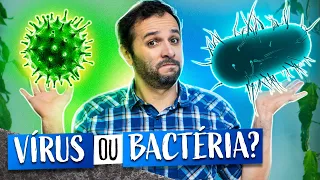 BACTÉRIAS e VÍRUS: qual a diferença?