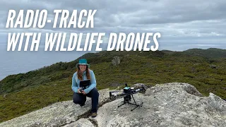 Radio-Tracking with Wildlife Drones