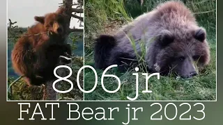 806 jr ▪︎ 2023 FAT Bear Junior ▪︎ CHAMP ▪︎ Explore.org