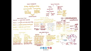 COVID19 Vaccines & Vaccine Development