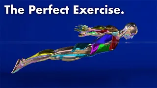 The Perfect Exercise (Butterfly Swimming)