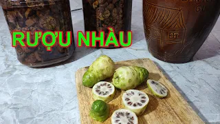 Cách ngâm rượu nhàu tươi hỗ trợ tiêu hóa