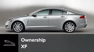 Jaguar XF 2012 - 2013 | Navigation System: Memory Points