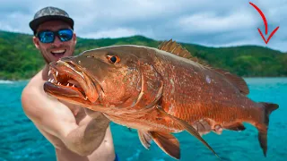 48 Hrs Chasing Monster Snapper In Jungle Paradise!