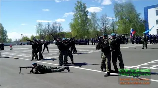 Показательные выступления  Медвежьи озёра