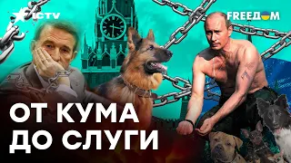 Дворовой пес Путина — чем ПИТАЕТСЯ и какие команды ЗНАЕТ