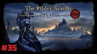 The Elder Scrolls Online [#35. Кооп] Бликрок. Атака Ковенанта. Эвакуация жителей.