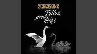 Follow Your Heart