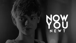 'newt | NOW YOU
