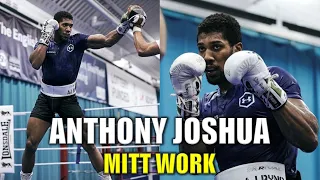 Anthony Joshua Mitt Work